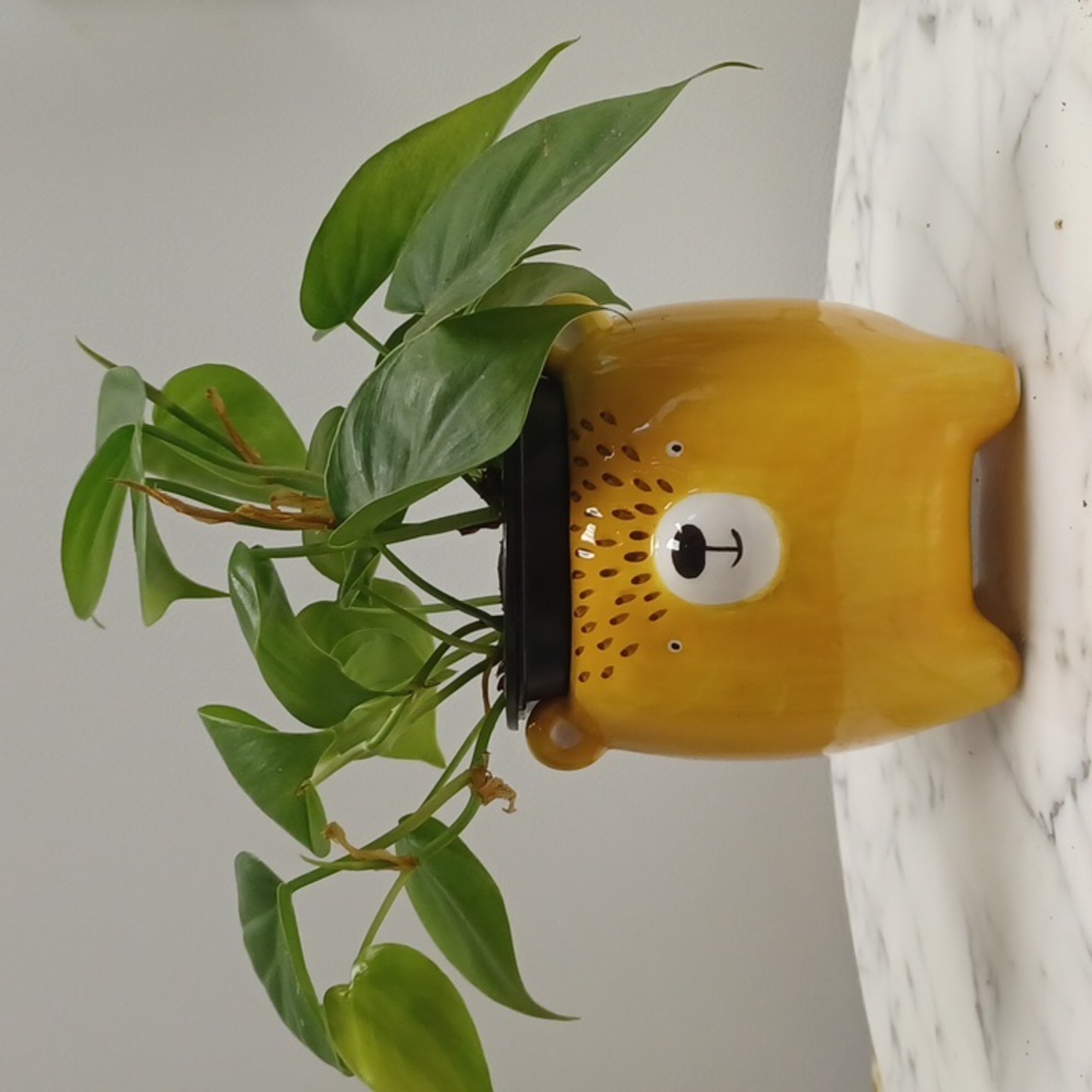 Bear ceramic decorative flower pot/planter *does not include plant* Copy